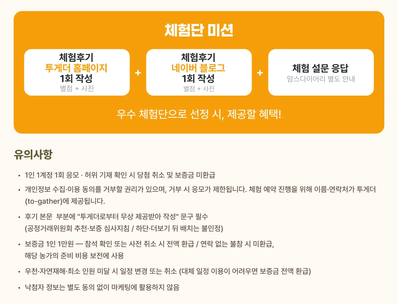 체험단 미션 — 투게더 홈페이지 후기 1회, 네이버 블로그 후기 1회, 체험 설문 응답. 그리고 유의사항 6항과 주최 맘스다이어리·체험 운영 주식회사 투게더 안내