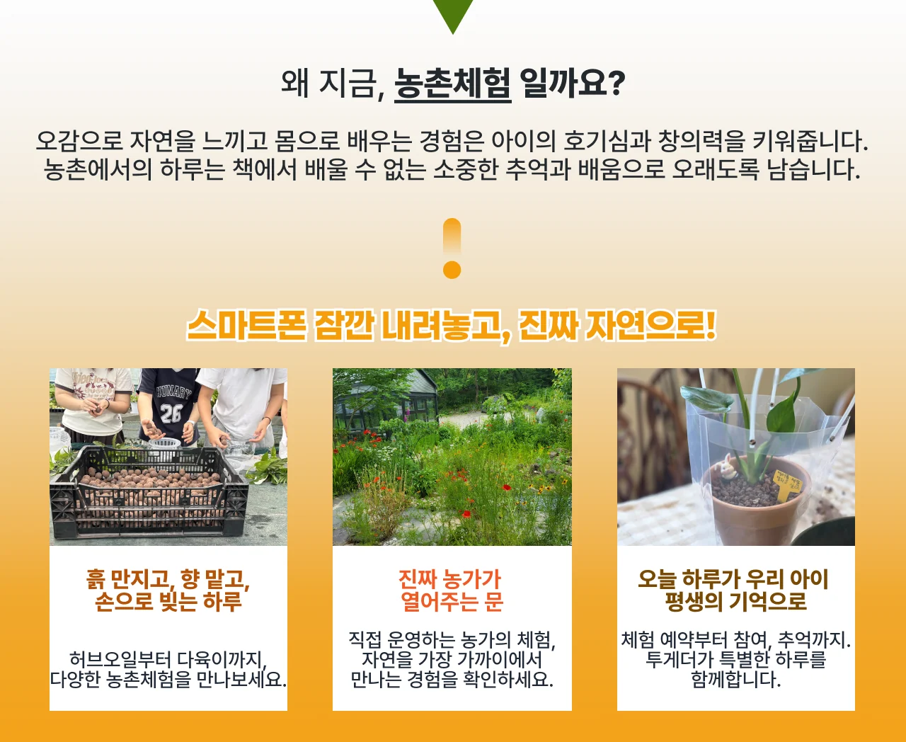 왜 지금 농촌체험일까요 — 흙 만지고 향 맡고 손으로 빚는 하루, 진짜 농가가 열어주는 문, 오늘 하루가 우리 아이 평생의 기억으로