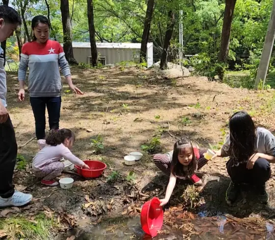 숲놀이